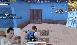 鲨鱼爆料开挂视频在线观看,独家视频带你直击游戏现场